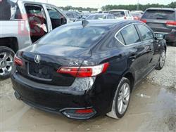 أكورا TLX